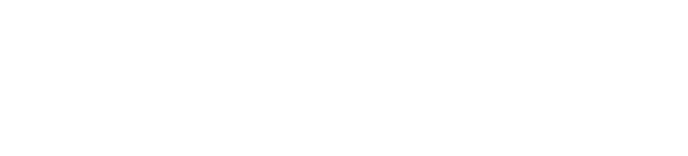 MDNSS